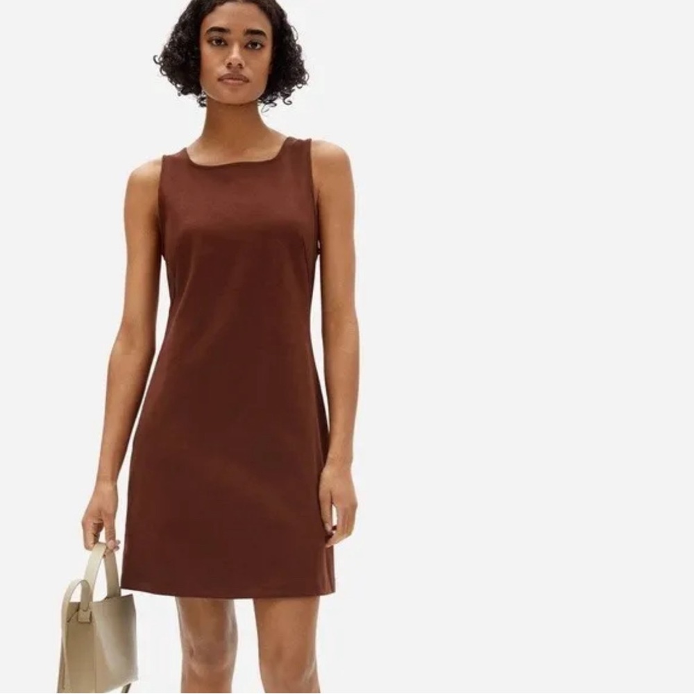 Everlane Brown Mini Shift Dress